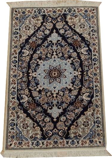 Nain Habibian